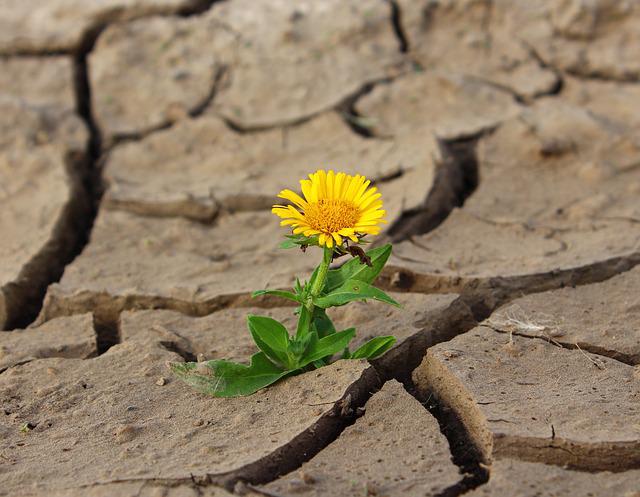 dirt in life